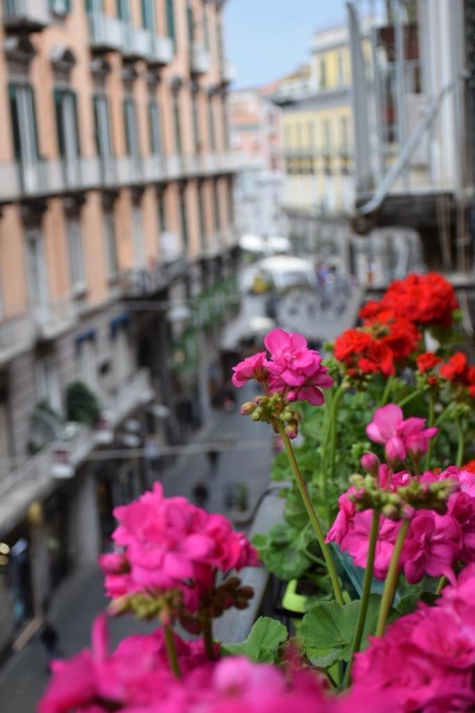 Toledo * Naples